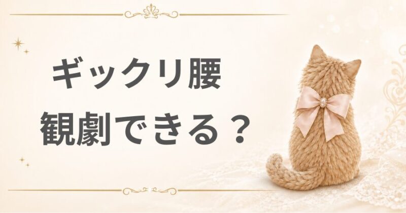ぎっくり腰でも観劇できる？