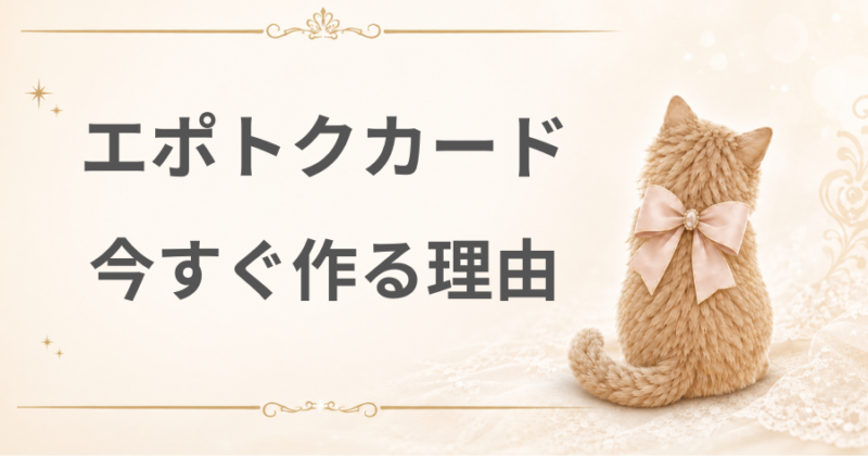 今すぐエポトクカードを作る理由